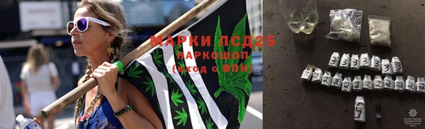 прущие грибы Гусев