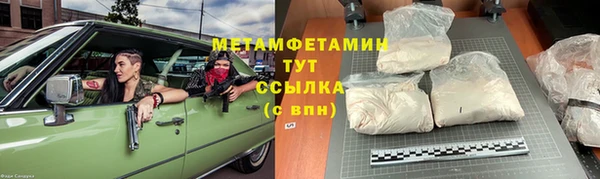 прущие грибы Гусев