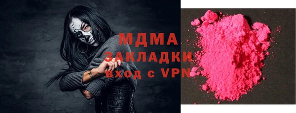 прущие грибы Гусев