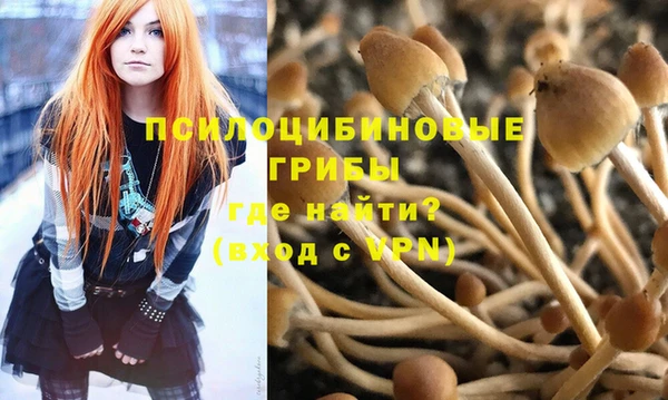 экстази Гусь-Хрустальный