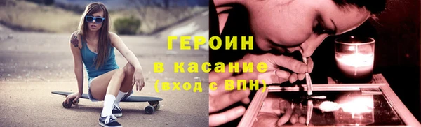 прущие грибы Гусев