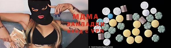 прущие грибы Гусев