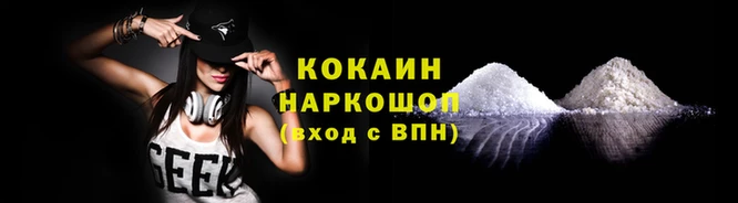 прущие грибы Гусев