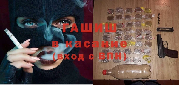 прущие грибы Гусев