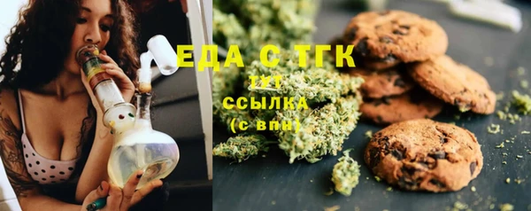 прущие грибы Гусев