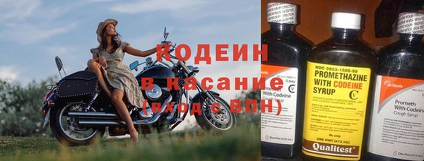 прущие грибы Гусев