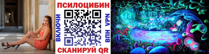 где можно купить   KRAKEN tor  Псилоцибиновые грибы Magic Shrooms  Евпатория 